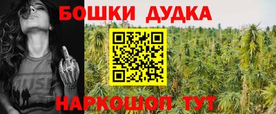 МДПВ Будённовск