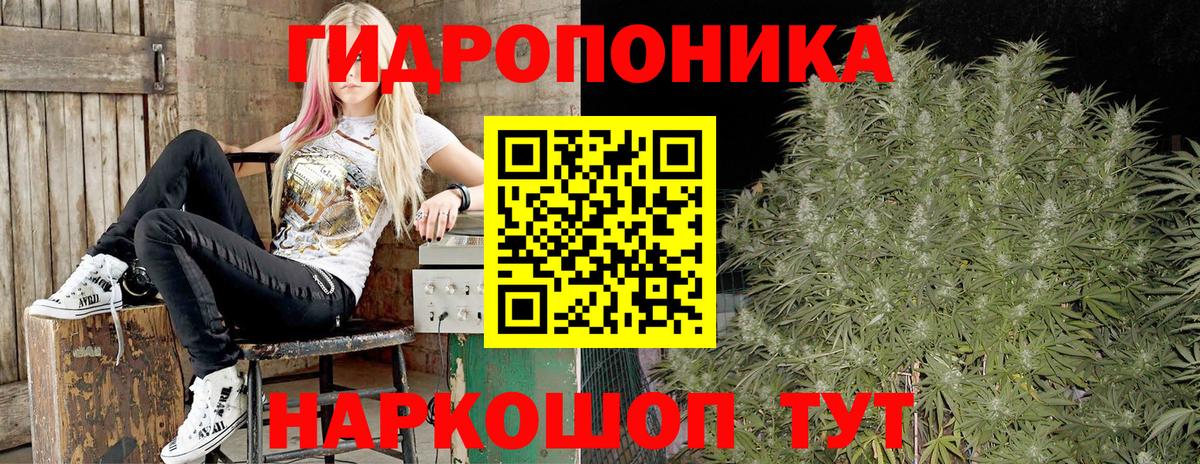 Шишки марихуана ГИДРОПОН Балашов